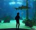 ���������� ��������� (Lisbon Oceanarium)