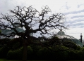    (Royal Castle of Laken) 10
