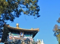  Запретный город (Forbidden City) 11