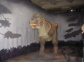  ����� �������������� � ����� (London Natural History Museum) 1