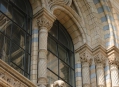  ����� �������������� � ����� (London Natural History Museum) 10