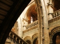  ����� �������������� � ����� (London Natural History Museum) 18