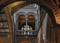  ����� �������������� � ����� (London Natural History Museum) 19
