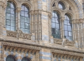  ����� �������������� � ����� (London Natural History Museum) 20