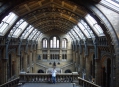 ����� �������������� � ����� (London Natural History Museum) 21