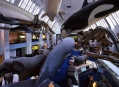  ����� �������������� � ����� (London Natural History Museum) 3