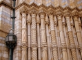  ����� �������������� � ����� (London Natural History Museum) 5