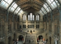  ����� �������������� � ����� (London Natural History Museum) 6