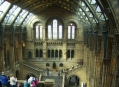  ����� �������������� � ����� (London Natural History Museum) 7