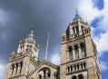  ����� �������������� � ����� (London Natural History Museum) 9