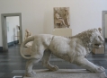  ���������� ����� (Pergamon Museum) 1