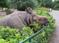  ������� �������������� (Tierpark Berlin) 1