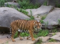  ������� �������������� (Tierpark Berlin) 14