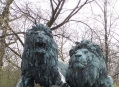  ������� �������������� (Tierpark Berlin) 5