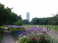  �������-���� (Treptower Park) 4