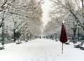  �����-���-������ (Unter den Linden) 3