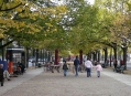  �����-���-������ (Unter den Linden) 6