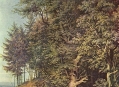 ��������������� �������������� �������� �������� (State Art Collections / Staatliche Kunstsammlungen) 11