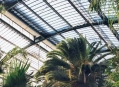  ��������� ��� (Palmengarten) 1