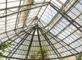  ��������� ��� (Palmengarten) 16