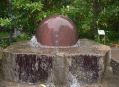  ��������� ��� (Palmengarten) 5