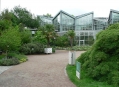  ��������� ��� (Palmengarten) 6