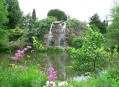  ��������� ��� (Palmengarten) 7