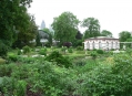  ��������� ��� (Palmengarten) 8