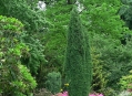  ��������� ��� (Palmengarten) 9