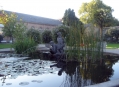  ������������ ��� �������� (Botanischer Garten Karlsruhe) 3