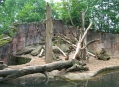  ������������ ������� (Nuremberg Zoo) 19
