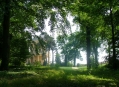  ������� �� ��������� (��������� �� ���������) (Belvedere on the Klausberg) 11