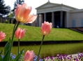  ������ ������������ (Charlottenhof Palace) 4
