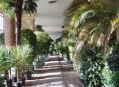  ������������ ������ (Orangery Palace  / Orangerieschloss) 8