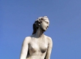  ���� ���-���� (Sanssouci Park) 9