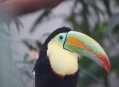  ���������� - ������������� � ������������ ���� (Wilhelma - Zoological-Botanical Gardens) 14