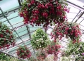  ���������� - ������������� � ������������ ���� (Wilhelma - Zoological-Botanical Gardens) 3