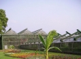  ���������� - ������������� � ������������ ���� (Wilhelma - Zoological-Botanical Gardens) 8