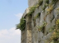  �������� (Acropolis) 18