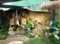  ���� ���� (Bird Park) 33