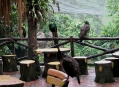 ���� ���� (Bird Park) 35