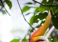  ���� ���� (Bird Park) 39