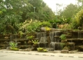  ���� ����� ������� (Taiping Lake Gardens) 3