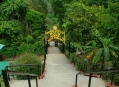  ���� ����� ������� (Taiping Lake Gardens) 2