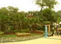  ���� ����� ������� (Taiping Lake Gardens) 10