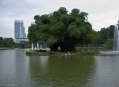  ���� ����� ������� (Taiping Lake Gardens) 6