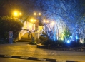  ���� ����� ������� (Taiping Lake Gardens) 5