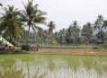  ������� ��� (Laman Padi / Rice Garden) 4