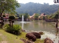  �������� ������� (Oriental Village) 7