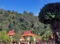  �������� ������� (Oriental Village) 14